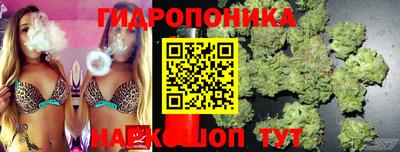 индика Апшеронск